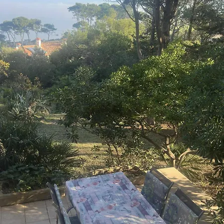 Appartamento Garina Ii